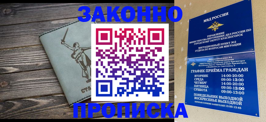 прописка в Сальске